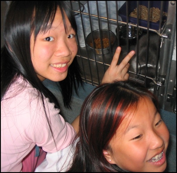 BCSPCA OCT 2006 011.jpg